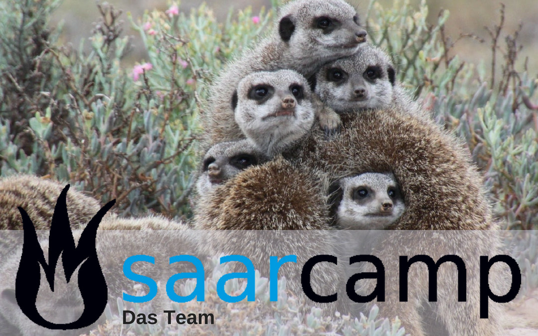 Mitglied im Organisationsteam – Sebastian Woll